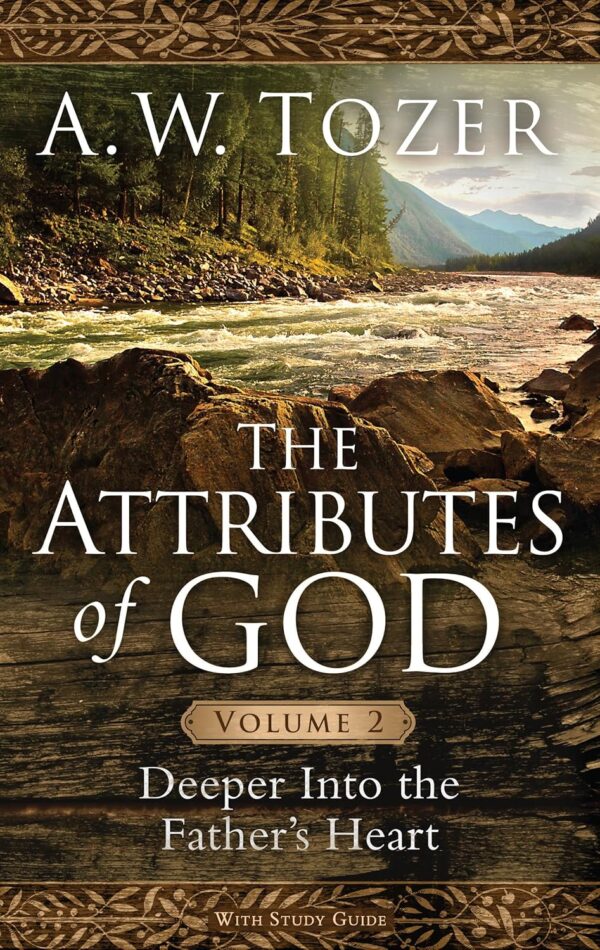 91-QJvQAfdL._SL1500_ The Attributes of God Volume 2